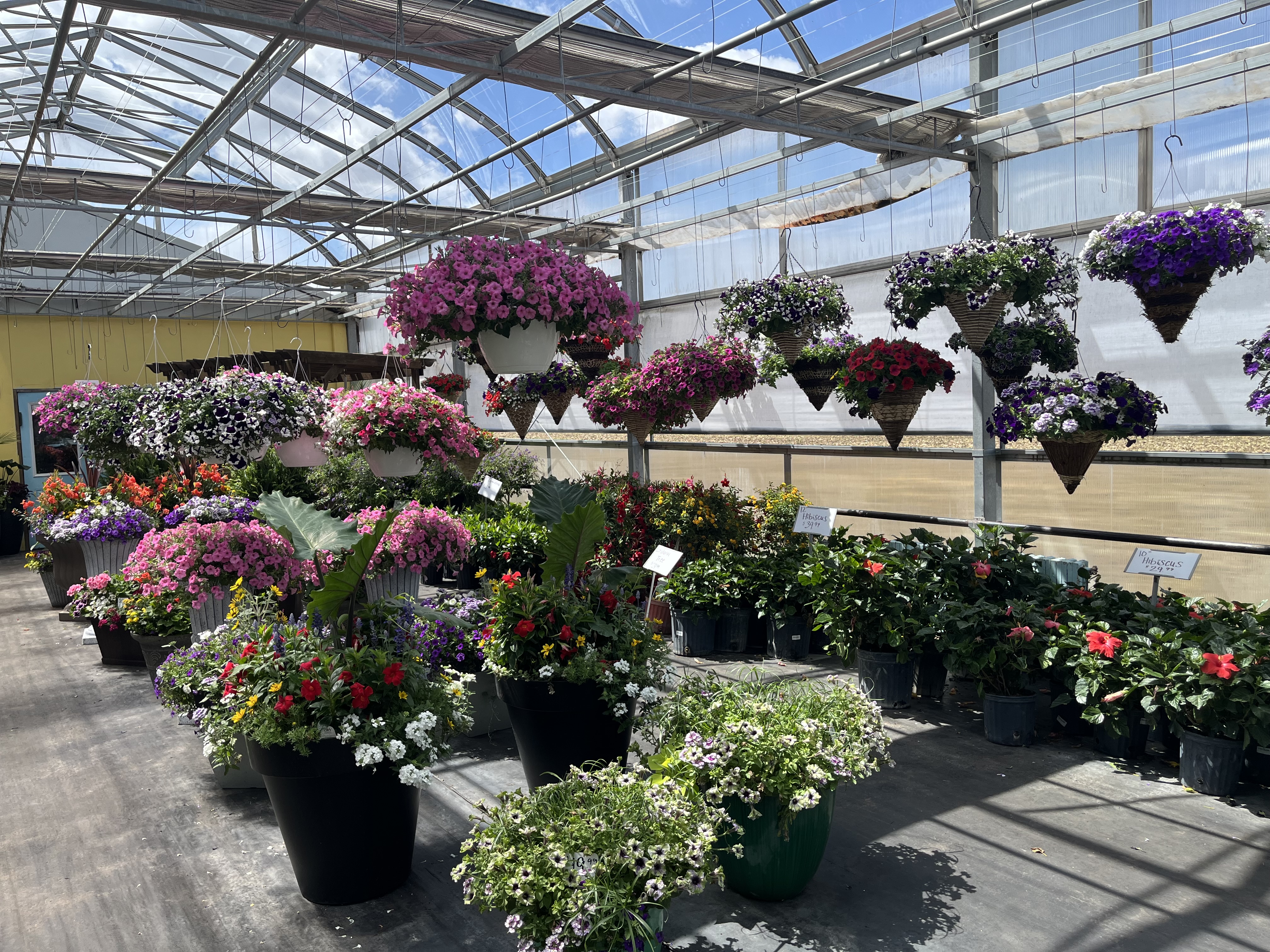 Garden photo